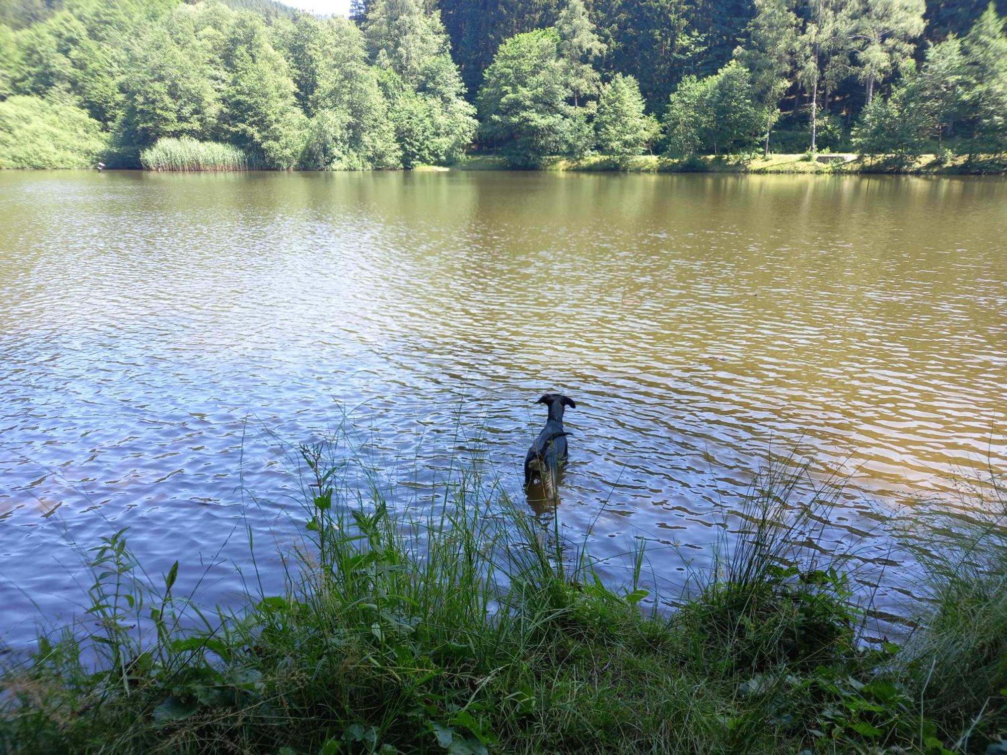 Apartman Jezerne Velké Karlovice Buitenkant foto